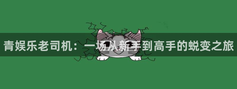 盛煌平台平台官方入口：青娱乐老司机：一场从新手到高手的蜕变之旅