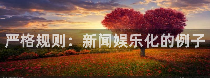盛煌平台app网页入口：严格规则：新闻娱乐化的例子