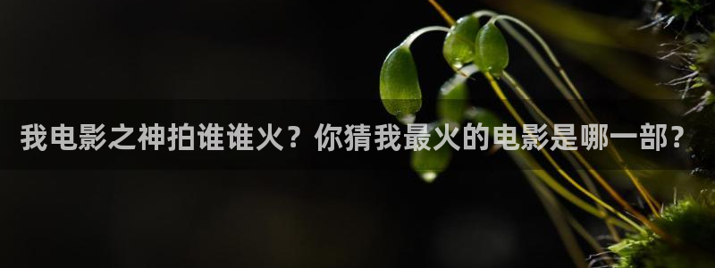 壹号官网app下载安装：我电影之神拍谁谁火？你猜我最火的电影是哪一部？