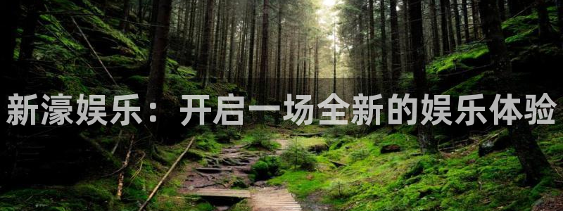 壹号玩家app下载：新濠娱乐：开启一场全新的娱乐体验