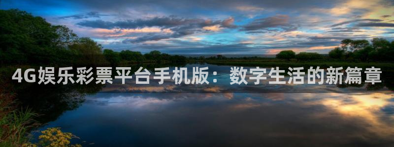 盛煌平台是真的吗：4G娱乐彩票平台手机版：数字生活的新篇章