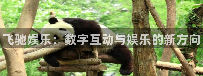 盛煌平台充值怎么退款：飞驰娱乐：数字互动与娱乐的新方向