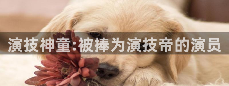 盛煌平台有梦你就来：演技神童:被捧为演技帝的演员