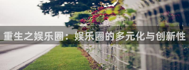 盛煌平台退款怎么退：重生之娱乐圈：娱乐圈的多元化与创新性