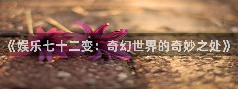 壹号电子娱乐app