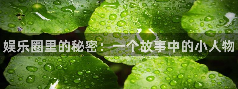 盛煌平台手机版下载