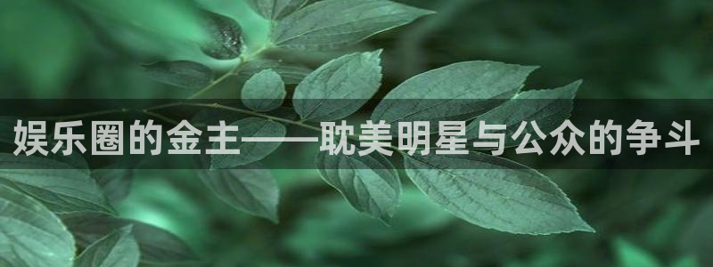 盛煌平台分红代理计划