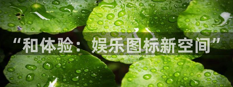 盛煌平台app哪个模式容易赢