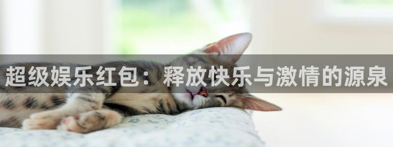 盛煌平台注册网站app