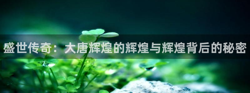 壹号大舞台官网