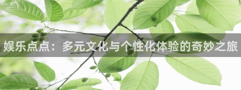 盛煌平台.com：娱乐点点：多元文化与个性化体验的奇妙之旅