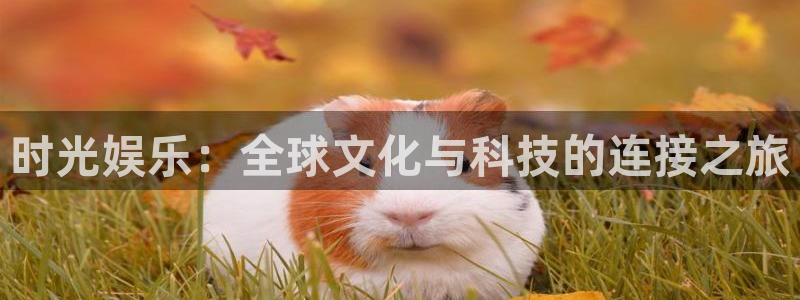 盛煌平台注册网页版：时光娱乐：全球文化与科技的连接之旅