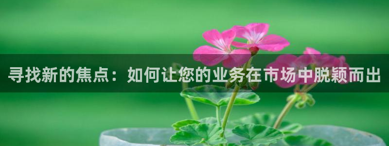 盛煌平台加拿大下载：寻找新的焦点：如何让您的业务在市场中脱颖而出