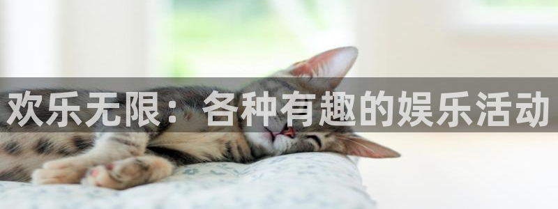 盛煌平台ccm麻将胡了：欢乐无限：各种有趣的娱乐活动