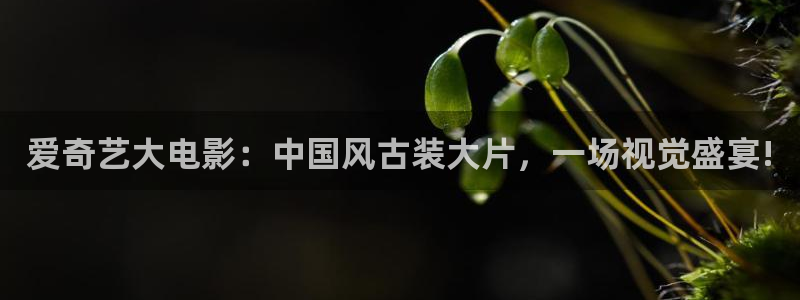 盛煌平台平台官网版下载：爱奇艺大电影：中国风古装大片，一场视觉盛宴!