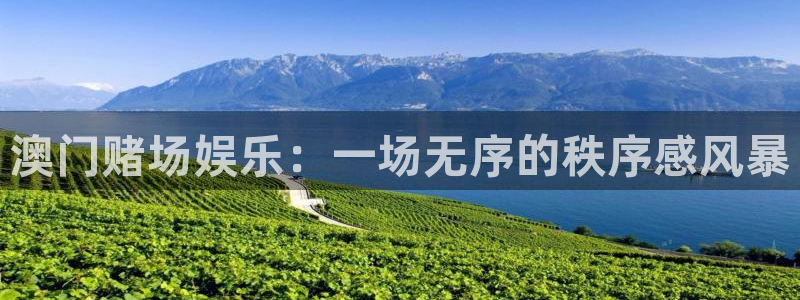 盛煌平台下载二维码：澳门赌场娱乐：一场无序的秩序感风暴