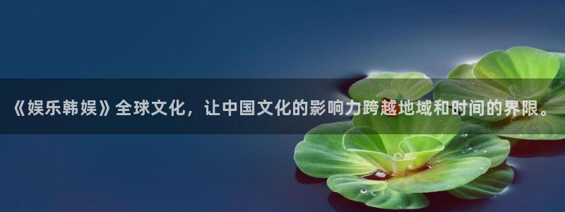 盛煌平台电子游戏网页版：《娱乐韩娱》全球文化，让中国文化的影响力跨越地域和时间的界限。
