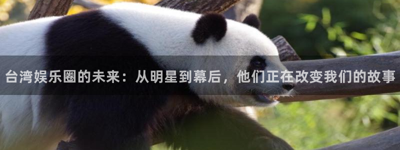 盛煌平台加拿大官网：台湾娱乐圈的未来：从明星到幕后，他们正在改变我们的故事