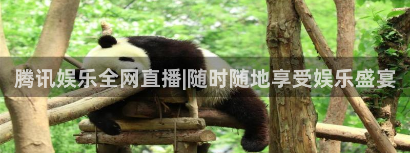 壹号电子娱乐app下载安装最新版本：腾讯娱乐全网直播|随时随地享受娱乐盛宴