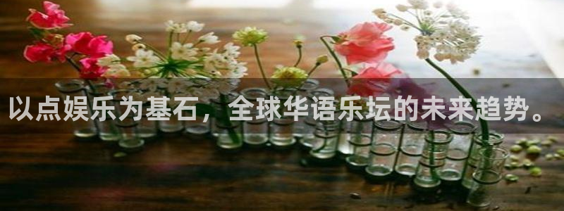 盛煌平台网站：以点娱乐为基石，全球华语乐坛的未来趋势。